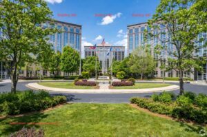 commercial owner representation project